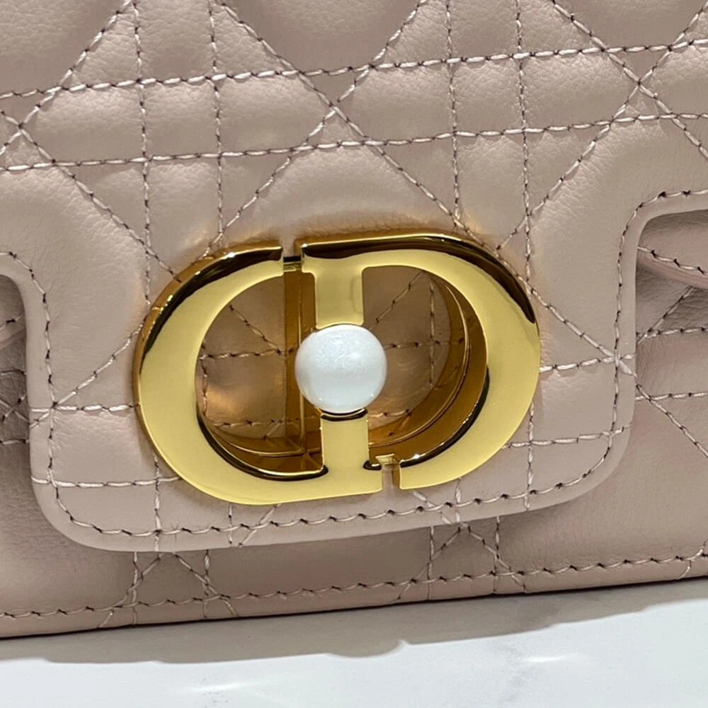 Small Dior Jolie handbag Unique 1291