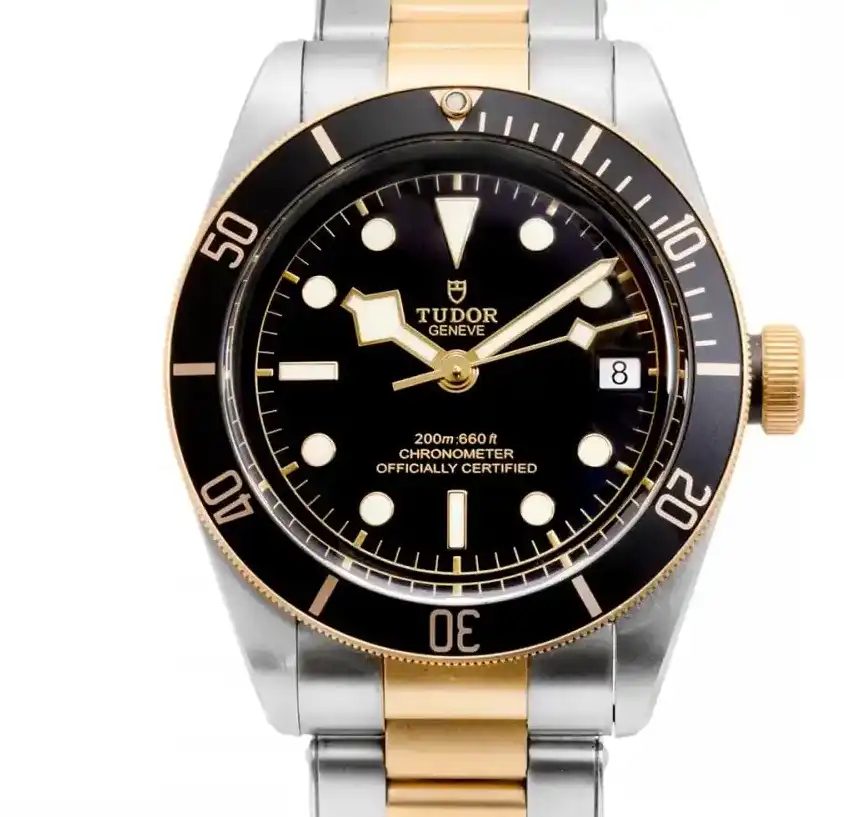 Black Tudor Black Bay 79733N-0008