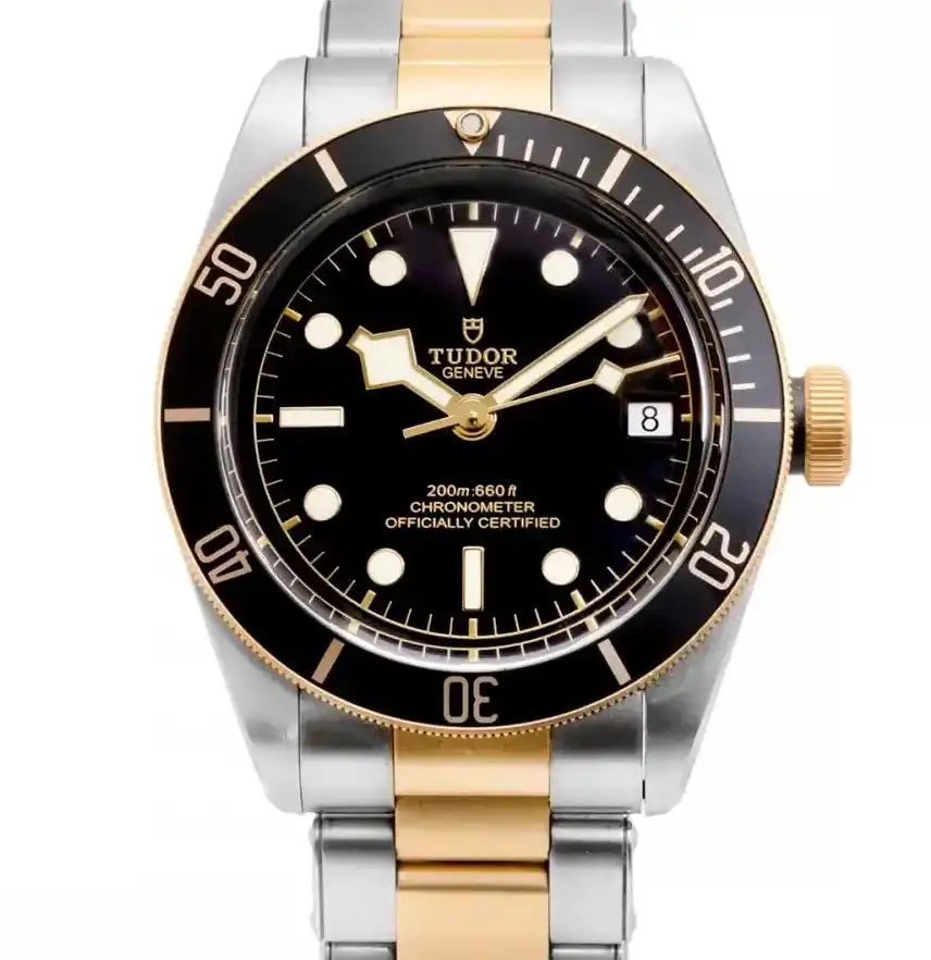 No Tudor Black Bay 79733N-0008