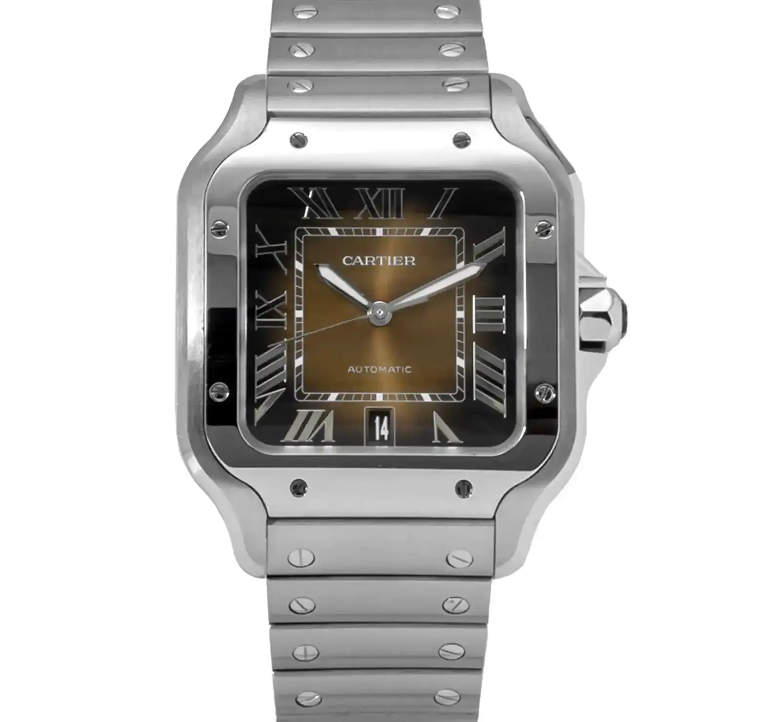 Cartier Santos WSSA0064 Yes