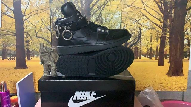 Air Jordan 1 Retro-219
