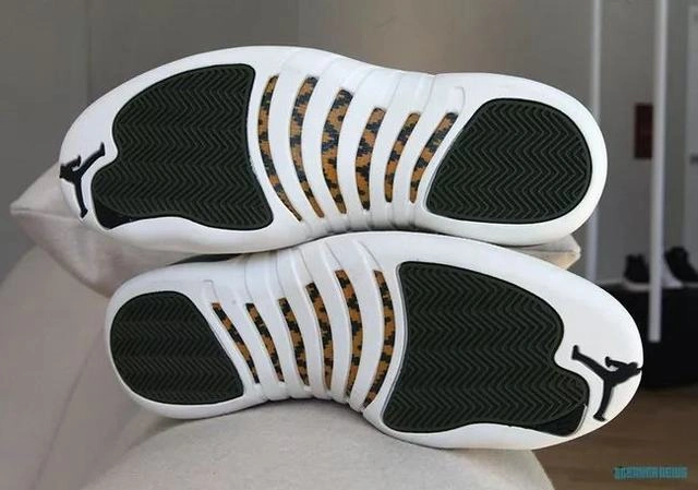 Air Jordan 12 GS Graduation Pack