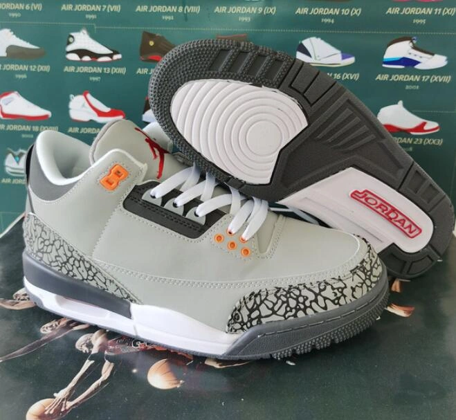 Air Jordan 3 Retro Cold Grey-1