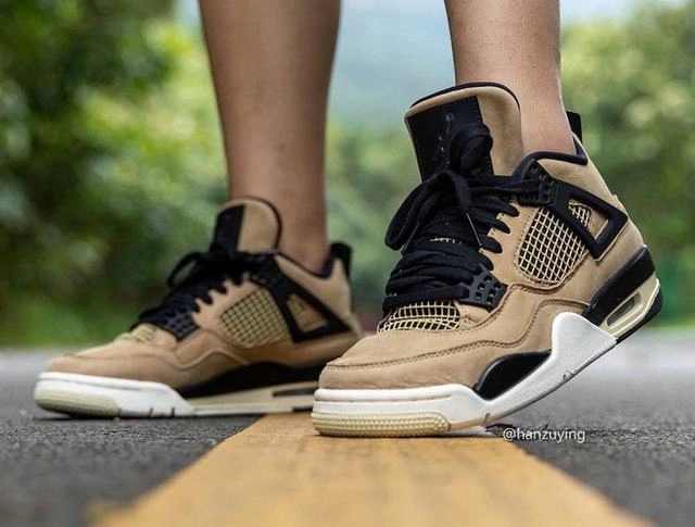 Air Jordan 4 Retro Mushroom-1