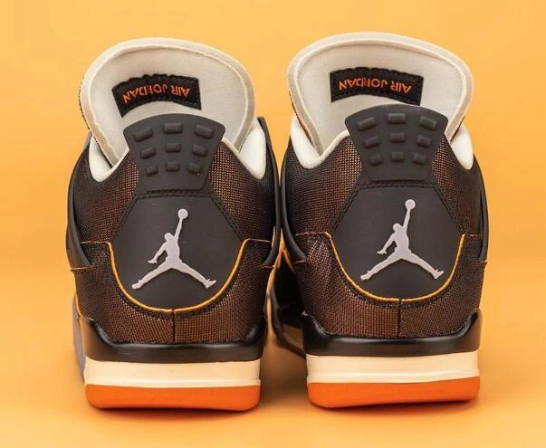 Air Jordan 4 WMNS Starfish-1