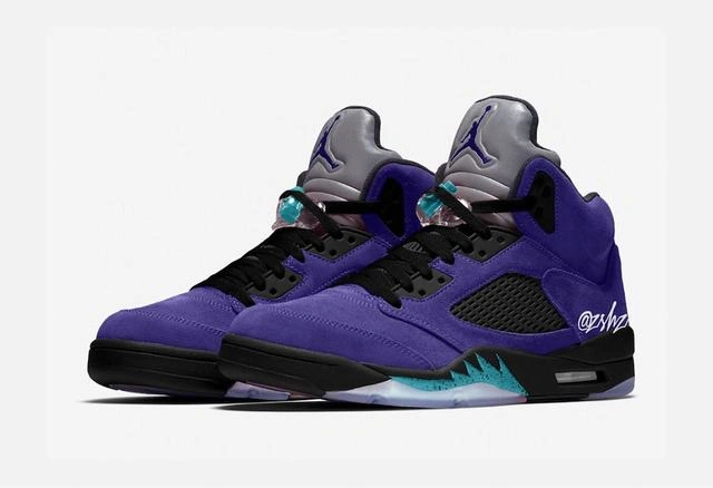 Air Jordan 5 Alternate Grape-1