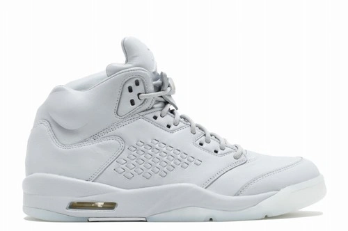 Air Jordan 5 Premium “Pure Platinum”-01