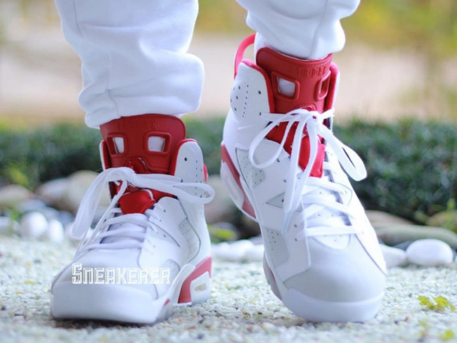 Air Jordan 6 “Alternate”  -1