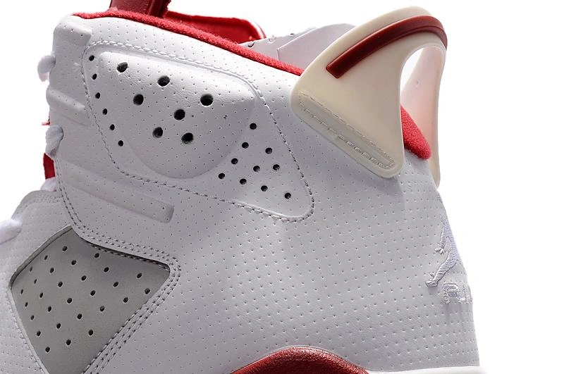Air Jordan 6 “Alternate”  -1