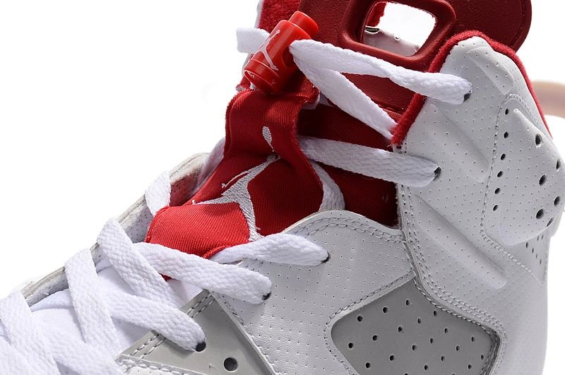 Air Jordan 6 “Alternate”  -1