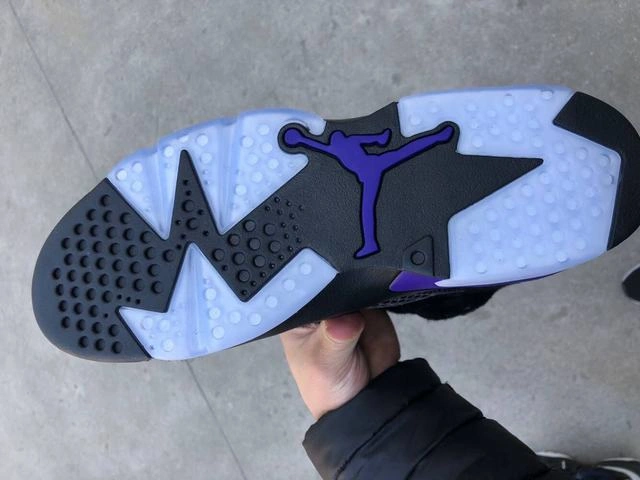 Air Jordan 6 Horseskin-1