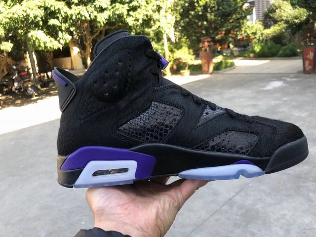 Air Jordan 6 Horseskin-1