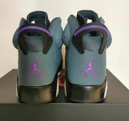 Air Jordan 6 Ocean Purple-1