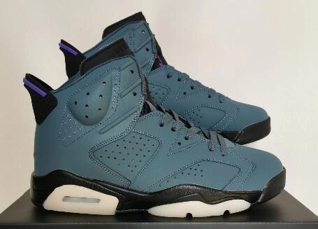 Air Jordan 6 Ocean Purple-1