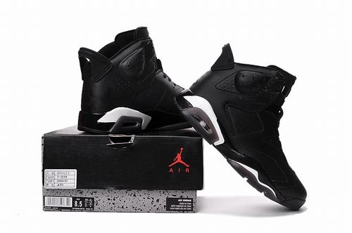 Air Jordan 6 generations of black cats-1
