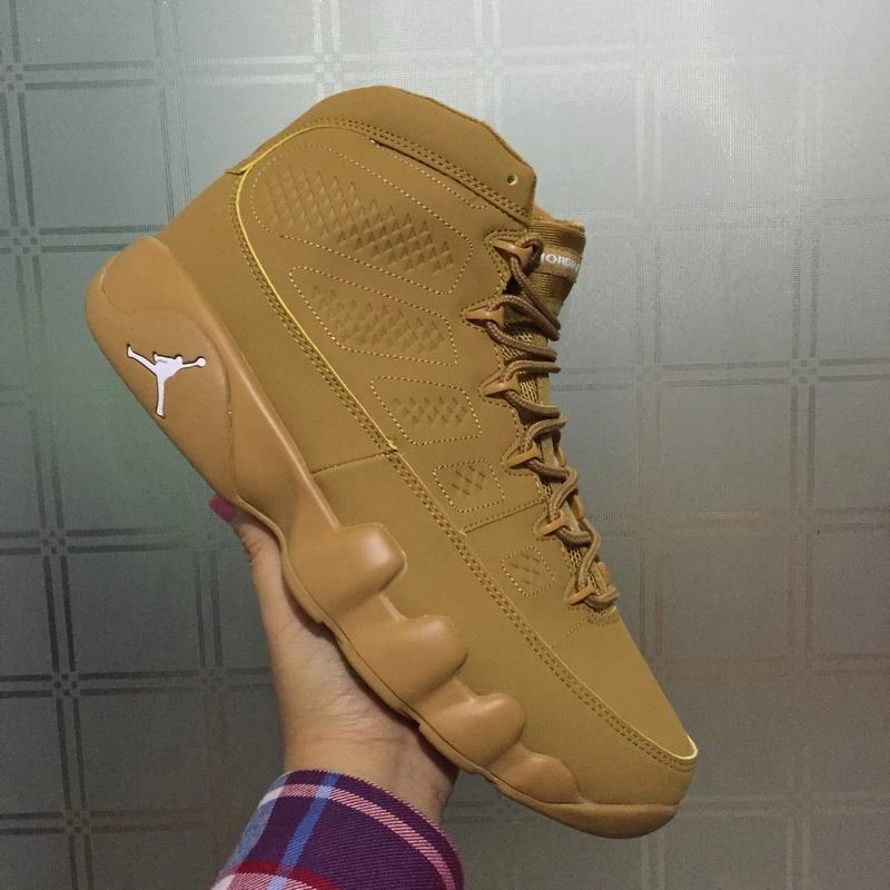 Air Jordan 9 Wheat-01