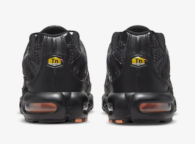 Air Max Plus 3D Swoosh
