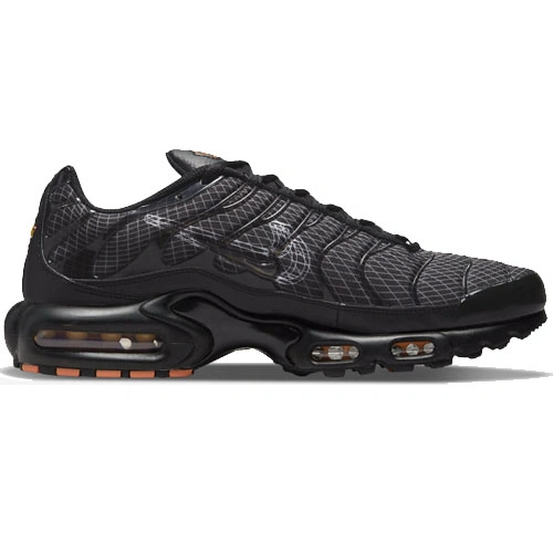 Air Max Plus 3D Swoosh