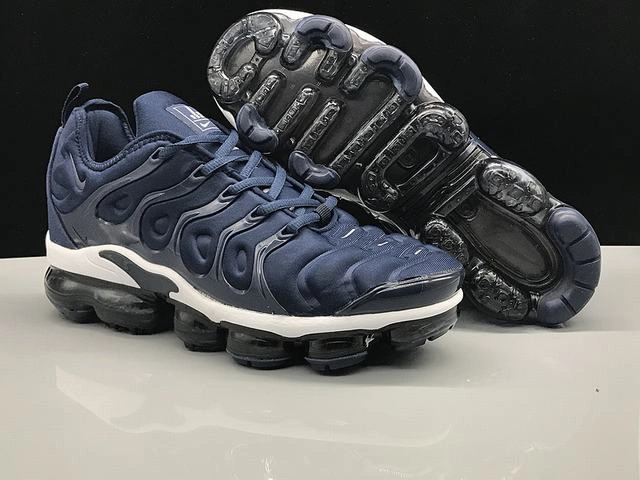 Air VaporMax Plus TN-1