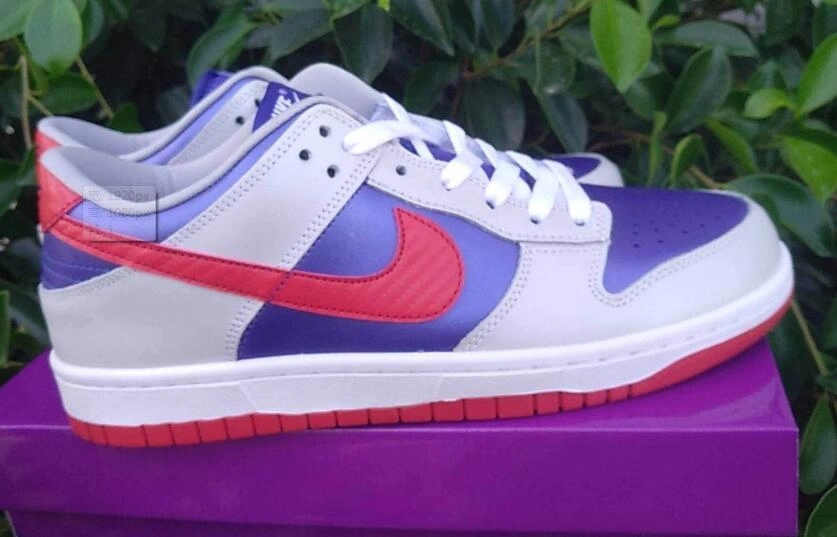 Nike SB Dunk-22
