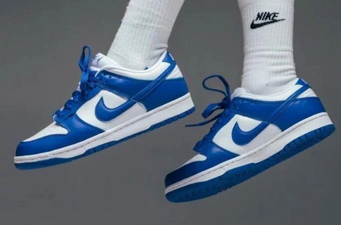 Nike SB Dunk-41