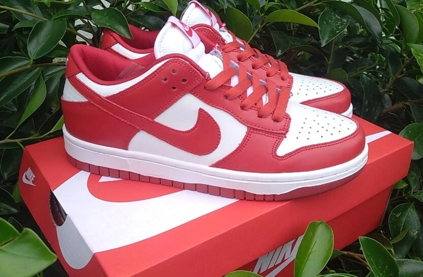 Nike SB Dunk-44