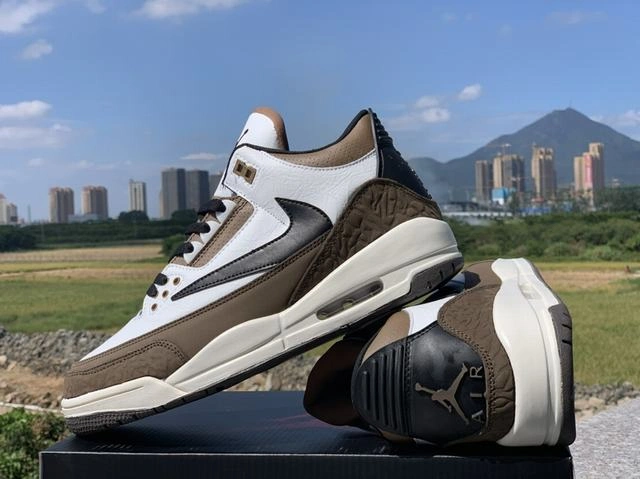 Travis Scott x Air Jordan 3-1