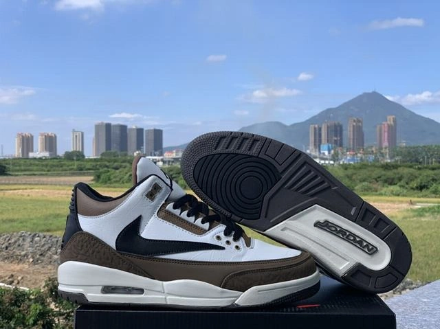 Travis Scott x Air Jordan 3-1