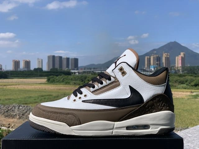 Travis Scott x Air Jordan 3-1