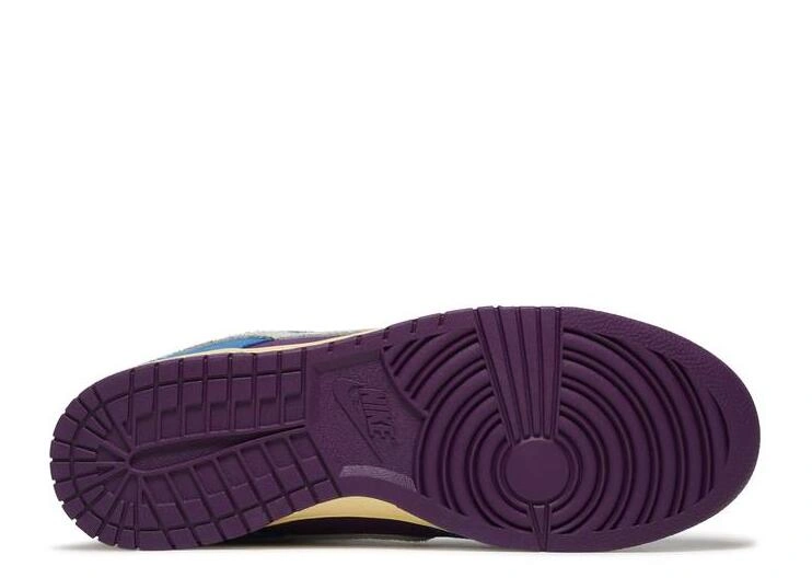 Undefeated x Dunk Low SP 5 On It