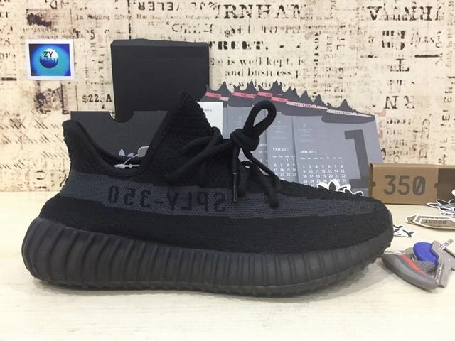 Yeezy 350-19