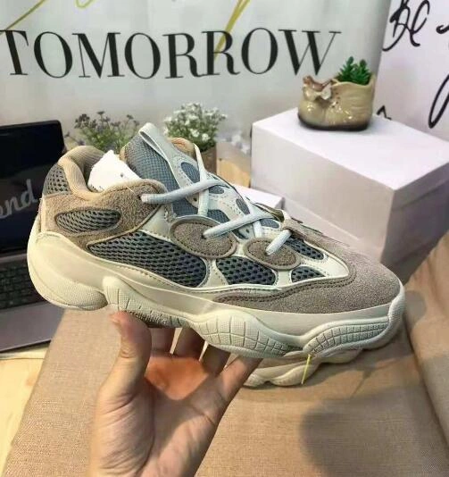 Yeezy 500-10
