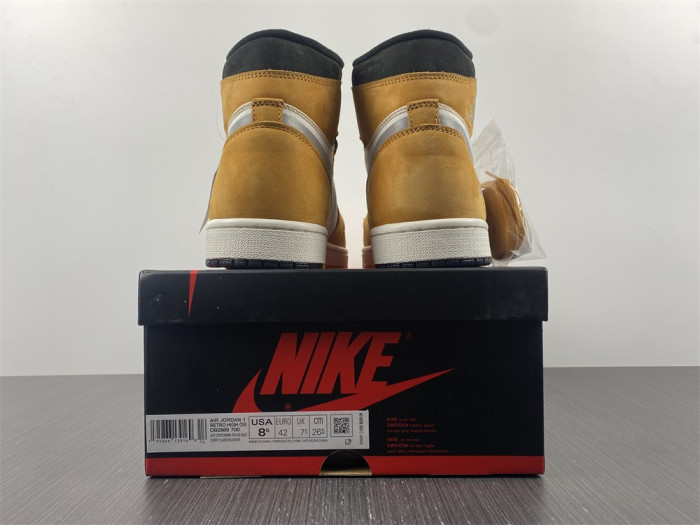 TB Jordan 1 High Element Gore-Tex Light Curry DB2889-700