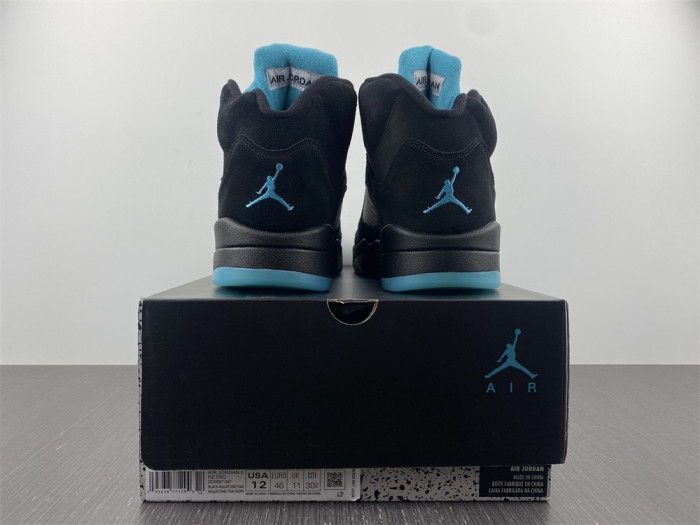 TB Air Jordan 5 Aqua DD0587-047