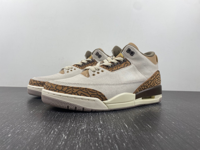 TB Air Jordan 3 Palomino CT8532-102