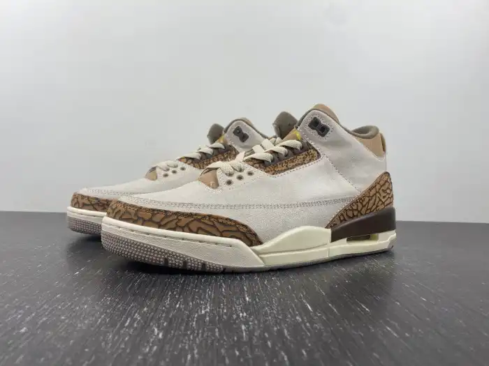 Air Jordan 3 Palomino CT8532-102