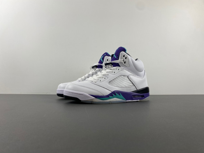 TB Air Jordan 5 Retro Grape (2013) 136027-108