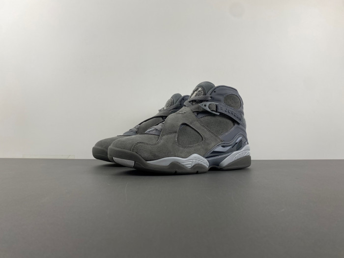 TB Jordan 8 Retro Cool Grey 305381-014