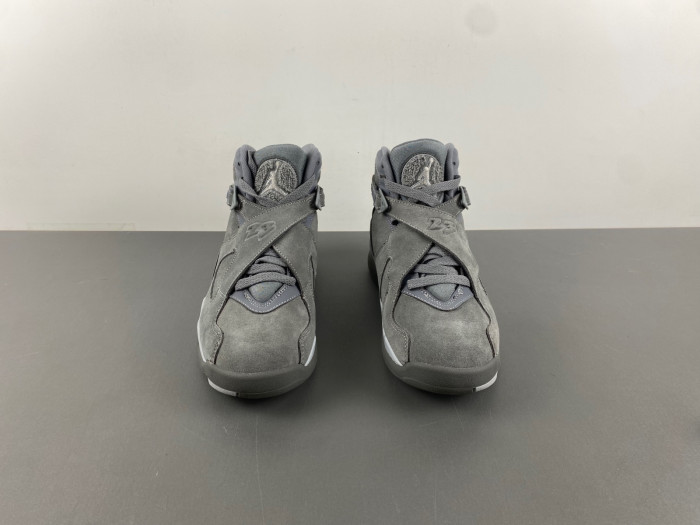 TB Jordan 8 Retro Cool Grey 305381-014