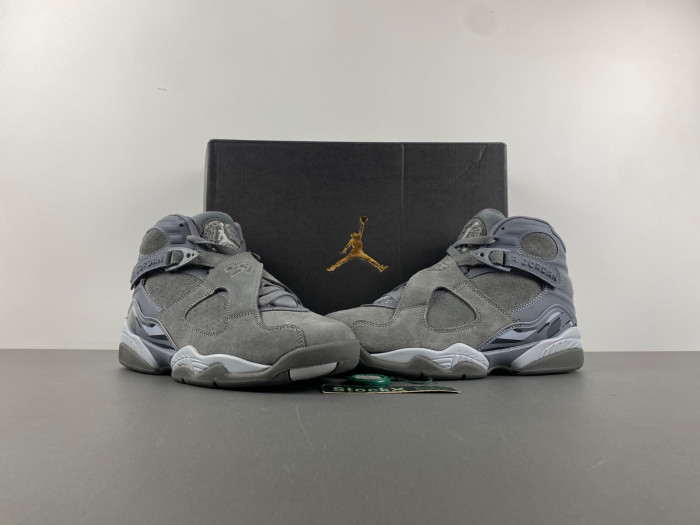 TB Jordan 8 Retro Cool Grey 305381-014