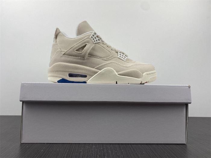 TB Jordan 4 Retro Blank Canvas (W) DQ4909-100