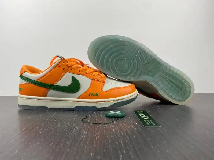 Bmlin Nike Dunk Low Florida A&M University DR6188-800