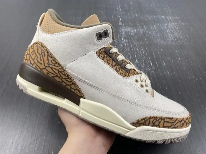 Cheap Air Jordan 3 Palomino CT8532-102