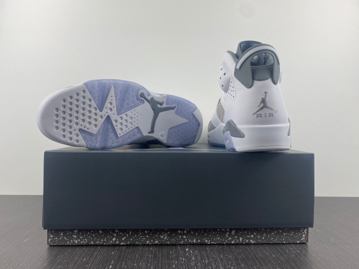 TB Air Jordan 6 Cool Grey CT8529-100