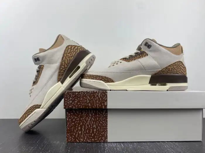 Bmlin Air Jordan 3 Palomino CT8532-102