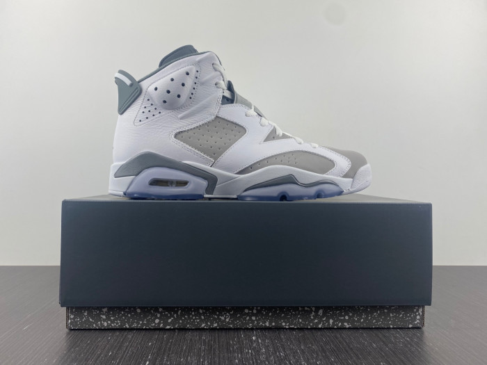 TB Air Jordan 6 Cool Grey CT8529-100