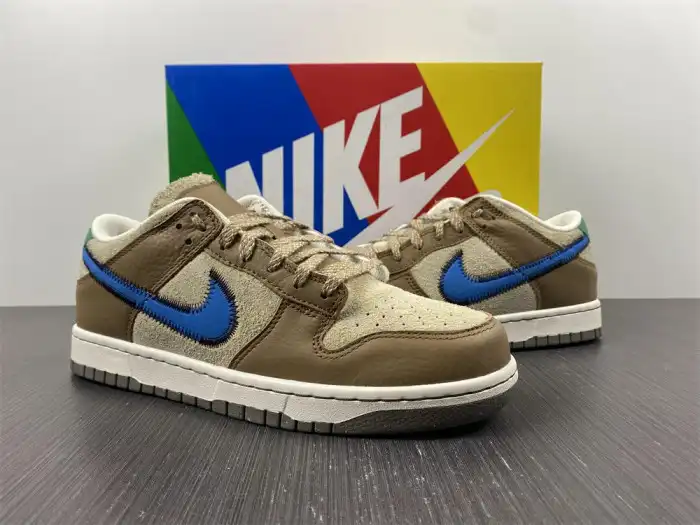 Affordable size? x Nike Dunk Low DO6712-200