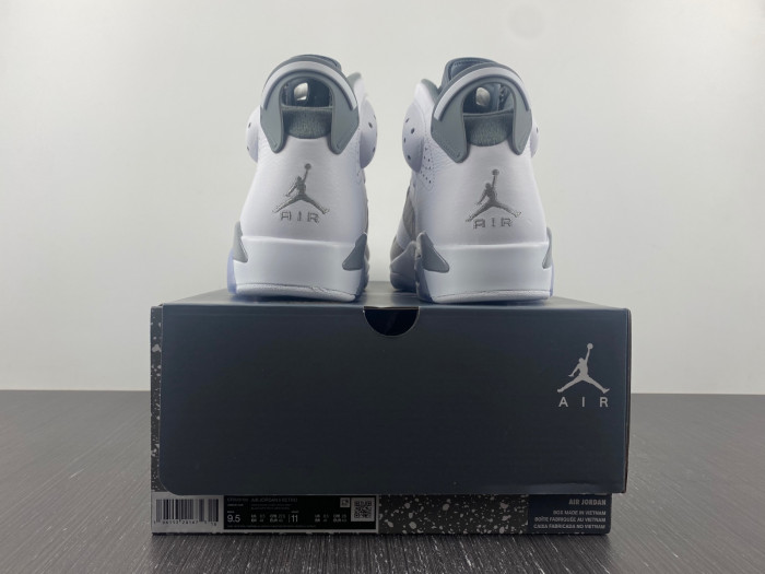 TB Air Jordan 6 Cool Grey CT8529-100