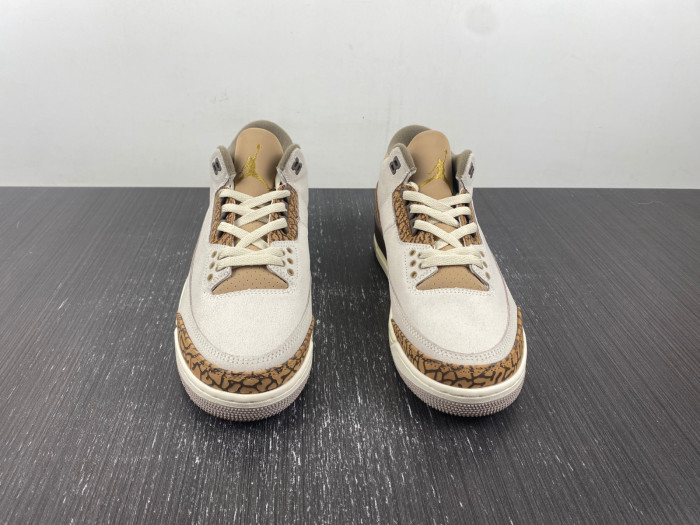 KICKWHO Air Jordan 3 Palomino CT8532-102