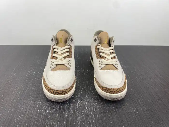 Rep TBkick Air Jordan 3 Palomino CT8532-102